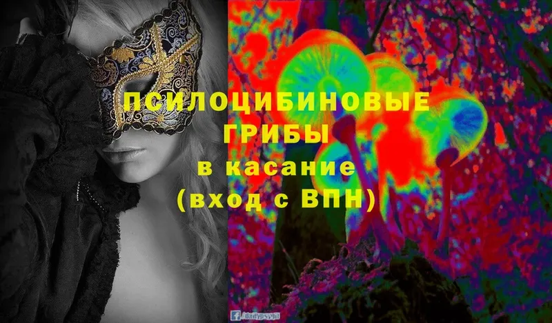 Галлюциногенные грибы Magic Shrooms  shop телеграм  Конаково  цена  